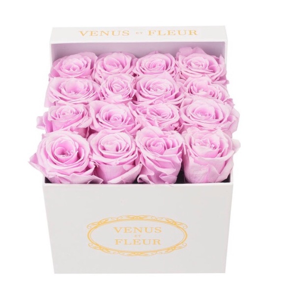 Venus Et Fleur Eternity Roses